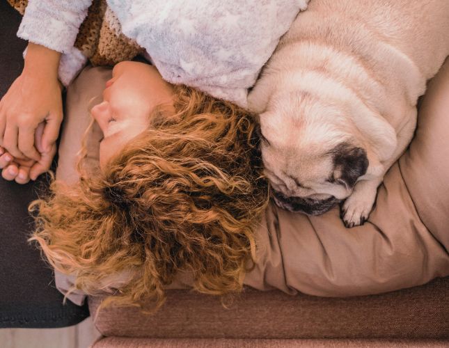 Overnight Pet Care in Silicon Valley