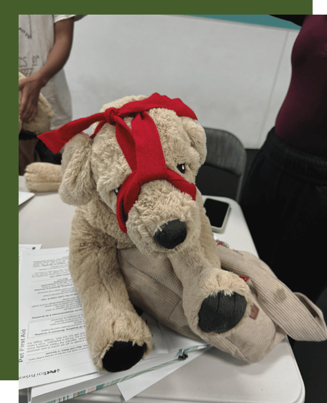 Pet Tech® CPR And First Aid in Silicon Valley (1)